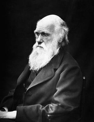 El Comité de Buceo Científico (CBC) de la FEDAS se une a la celebración del Año de Darwin
